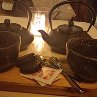 Tea at Veganees in Amsterdam