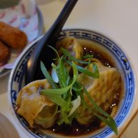 Wantans at Veganees in Amsterdam