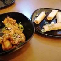 Starters at Vegan Fusion in North London