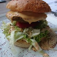 Vegan falafel burger at Lemon Tree in Bamberg
