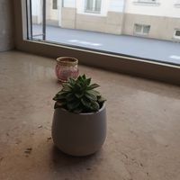  at Dean & David - Makartplatz in Salzburg