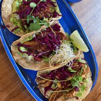 Jackfruit tacos   at Enchilada in Karlsruhe