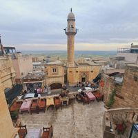  at Al Hayaal in Mardin