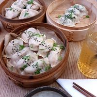 some regular, special and speciality dumplings at Dim Sum Spot Palackého in Prague