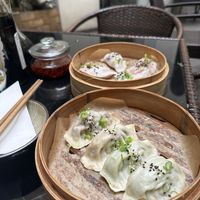 Dumplings   at Dim Sum Spot Palackého in Prague