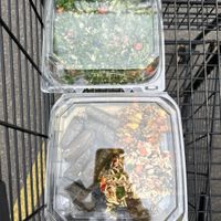 🥗 salads,salads and more 🥗   at Horrocks Farm Market in Lansing