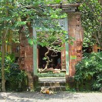 Soma Kafe at Soma Cafe in Ubud