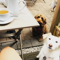   at Peveril Tea Room in Hope Valley