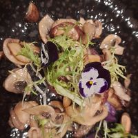  at De Brasserie in Meppel