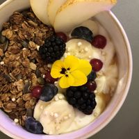   at Peacock in Toulouse