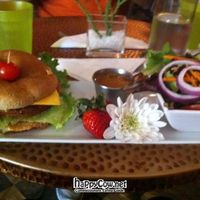 Lunch at Copper Dog at Copper Dog Cafe in Lafayette