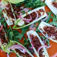 Chicory at De Nieuwe Kantine in Arnhem