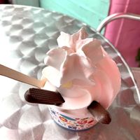 Vegan whippy- ice cafe at Ice Cafe in Brighton