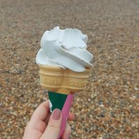 Medium vegan whippy (albeit half eaten!) at Ice Cafe in Brighton