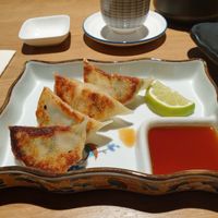 Gyoza at Nannan in Landshut