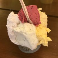 mango + coconut + tropical + limoncello!  at Anita Gelato - Old San Juan in San Juan
