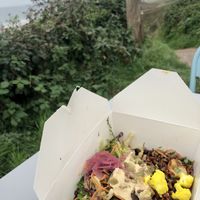 Vegan Feast Box. Lentils, seeds, beans, hummus, veggies etc. Delicious   at The Porthole in Woolacombe