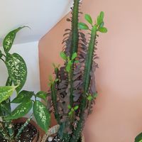  at The Porthole in Woolacombe