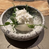   at neobiota in Cologne