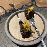   at neobiota in Cologne