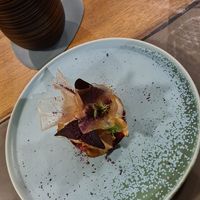  at neobiota in Cologne