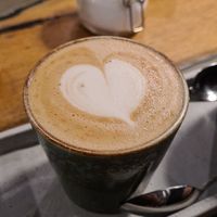  at neobiota in Cologne