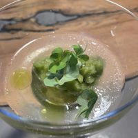   at neobiota in Cologne