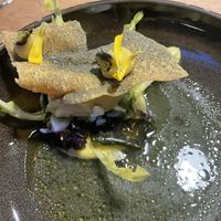   at neobiota in Cologne