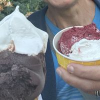   at Eiscafé Tiziano in Zingst