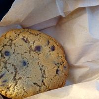 Chocolate chip cookies (takeaway) at PUCK specialty coffee in Nijmegen