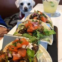 Veggie tacos at General Admission in Los Angeles