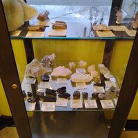 They even have crystals for sale! 🔮 #Veganuary at Mike's Vegan Grill in Greensboro