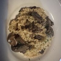 Fungi   at Bootleg Social Lounge in Paddington