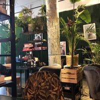 Game boards to play in a green interior! at Mr NonNo - Center in Rotterdam