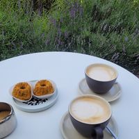  at PORTFOLIO ART studio cafe in Birzai