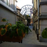 Entrance at Verv Kitchen in Bucharest