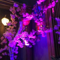   at VietPho Cuisine in Frankfurt