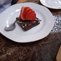 Brownie at AMA in Medellin