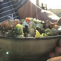 Bowl  at Noosa in Zandvoort