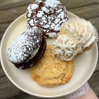 Holiday goodies! Chocolate peppermint whoopie, crinkle cookie, eggnog cup cake & sugar cookie  at Wildflour Vegan Bakery and Juice Bar in Pawtucket