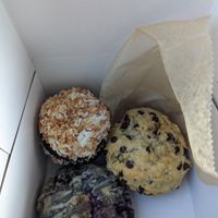  at Wildflour Vegan Bakery and Juice Bar in Pawtucket