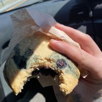   at Wildflour Vegan Bakery and Juice Bar in Pawtucket