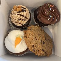   at Wildflour Vegan Bakery and Juice Bar in Pawtucket