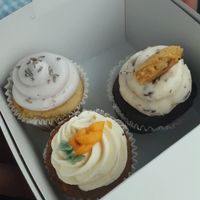 Cupcakes! Lavender lemon, carrot cake, cookie dough at Wildflour Vegan Bakery and Juice Bar in Pawtucket