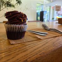 Gluten-free vegan cupcake, chocolate at Wildflour Vegan Bakery and Juice Bar in Pawtucket