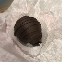 Chocolate peanut butter “buckeye" at Wildflour Vegan Bakery and Juice Bar in Pawtucket