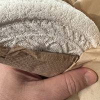 Mexi tacooom succulent  at Om Plante in Magog