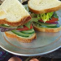  at Hip Vegan in Ojai