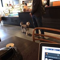 This branch is also dog friendly 💚 at Starbucks Coffee in Sittingbourne