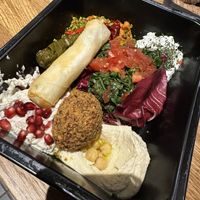   at Elissar in Vienna